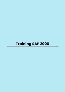 Training SAP 2000
