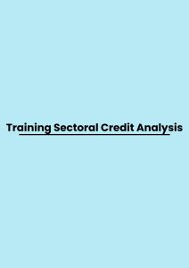 pelatihan Sectoral Credit Analysis di bandung