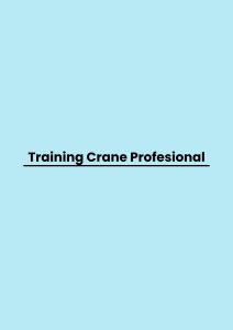 Training Crane Profesional pelatihan Crane Profesional di bandung